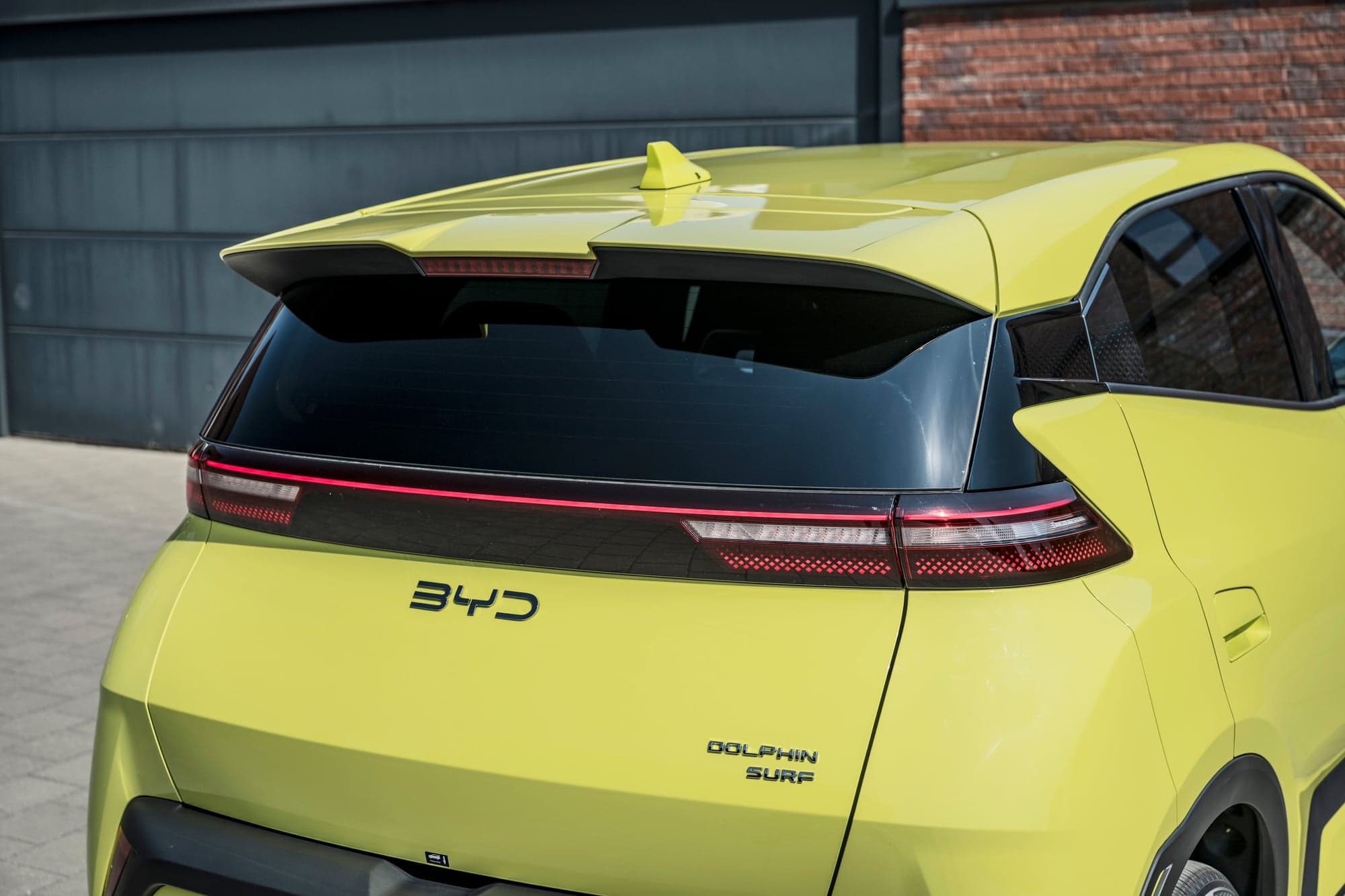 BYD Dolphin Surf Review